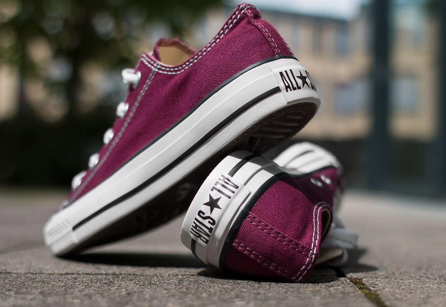 Converse Women's Unisex Chuck Taylor All Star Seasonal 2019 High Top Sneaker
