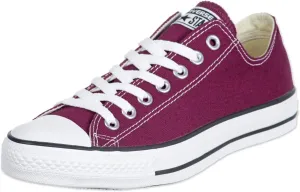 Converse Women's Unisex Chuck Taylor All Star Seasonal 2019 High Top Sneaker