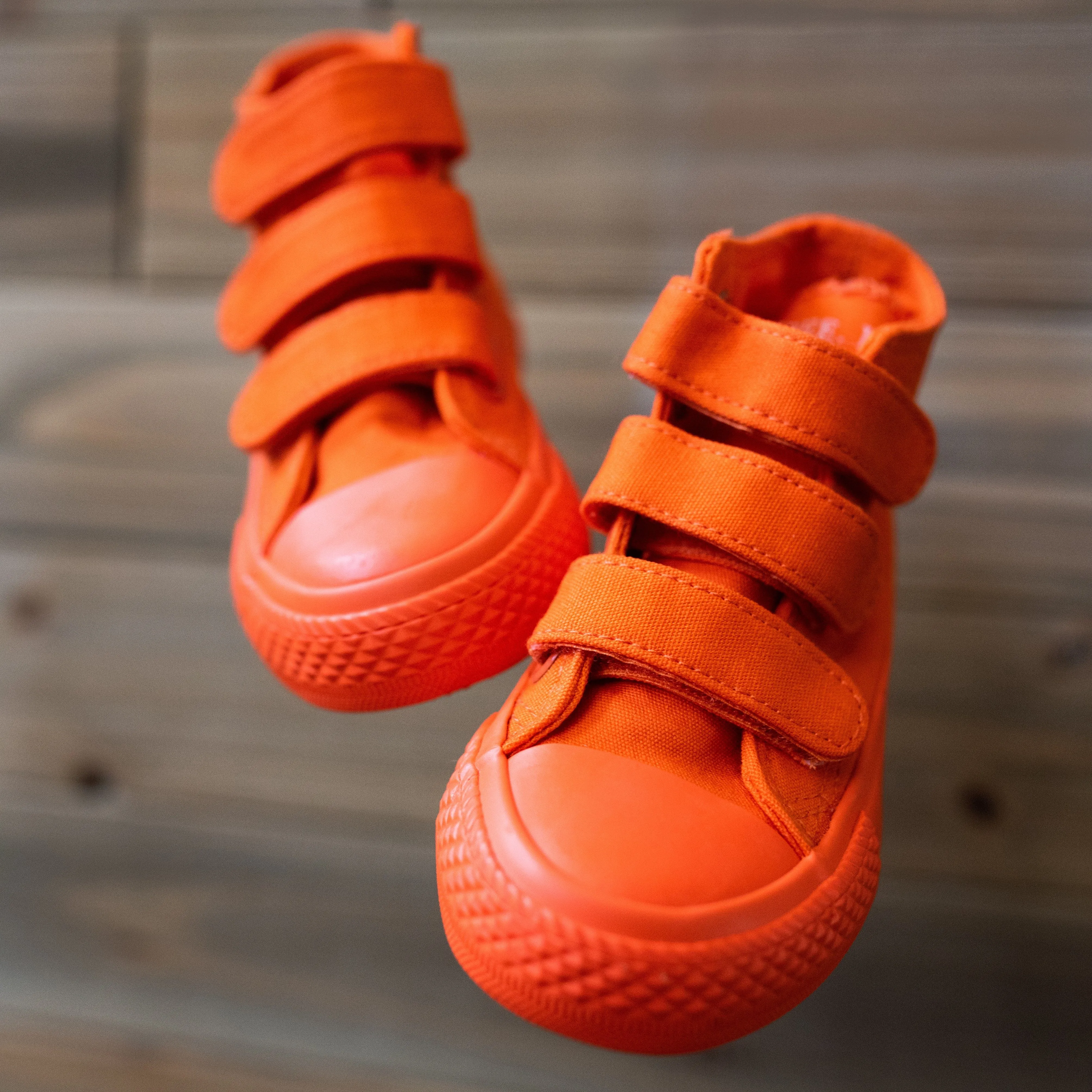 Harley Colors High Top Kids Canvas Shoes